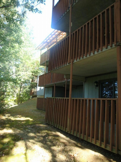 Senedo Springs image 7